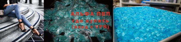 прущие грибы Богородицк