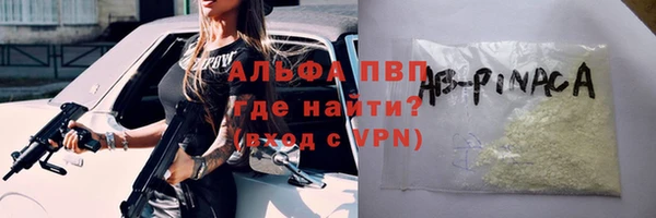 тгк Богданович