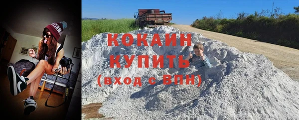 прущие грибы Богородицк