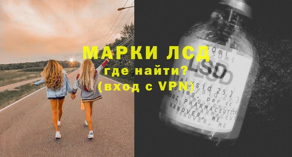 прущие грибы Богородицк