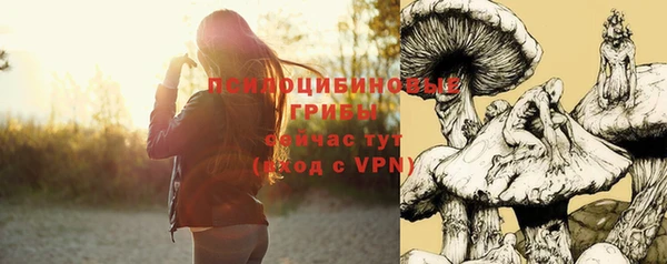 кокс Белокуриха